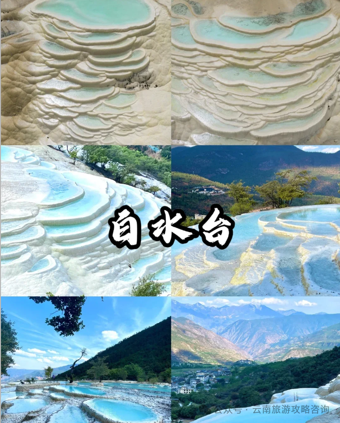 潮汕美食酸奶_酸奶美食潮汕做法_酸奶美食做法大全