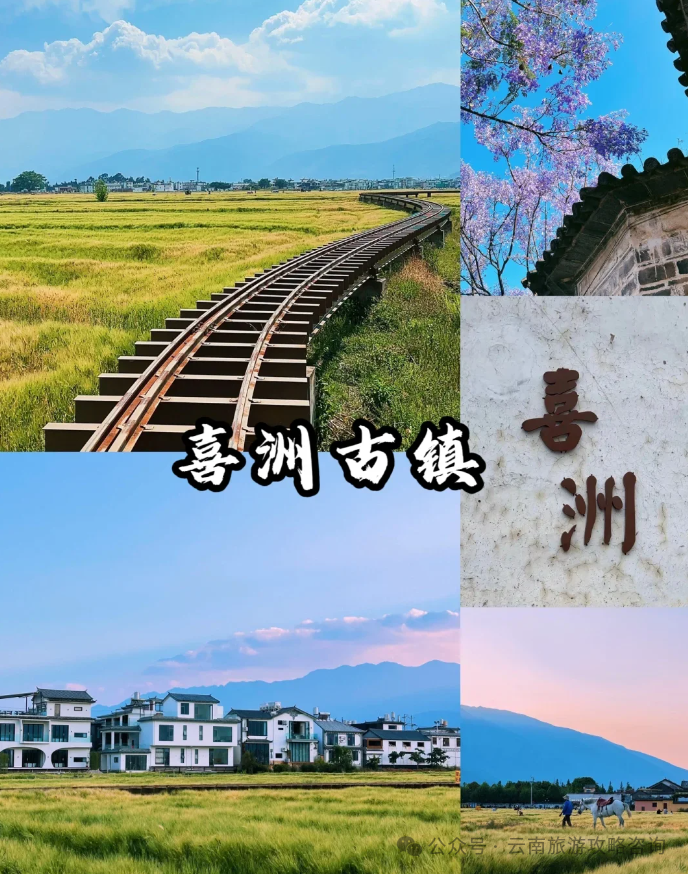潮汕美食酸奶_酸奶美食做法大全_酸奶美食潮汕做法