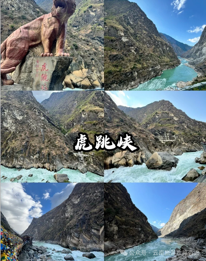 酸奶美食做法大全_潮汕美食酸奶_酸奶美食潮汕做法