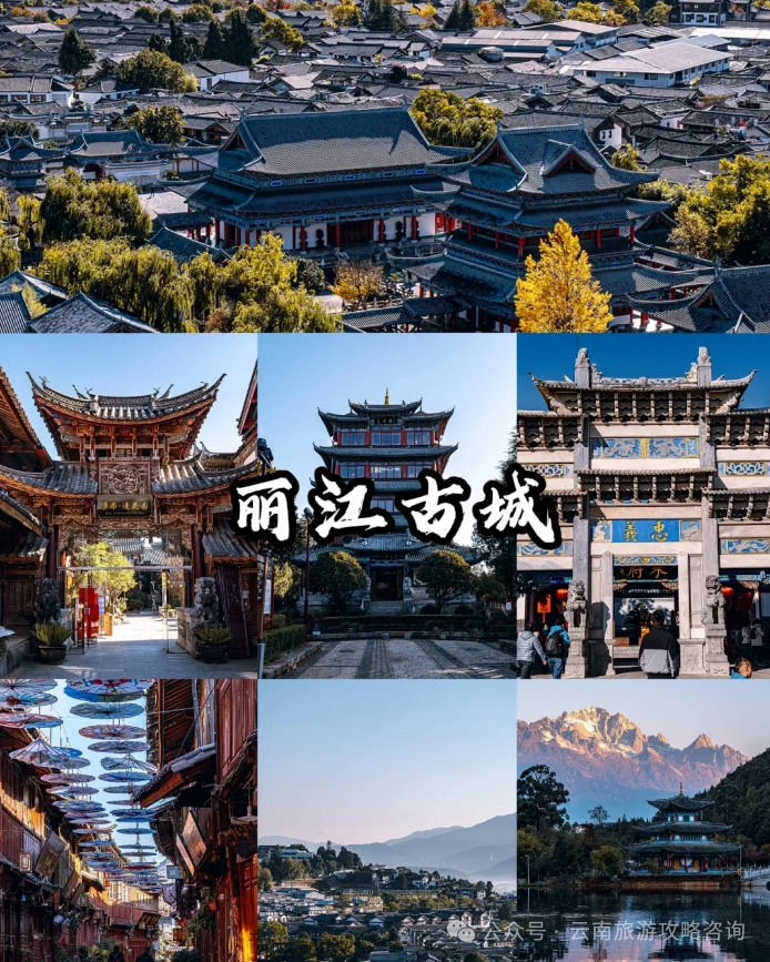 潮汕美食酸奶_酸奶美食做法大全_酸奶美食潮汕做法