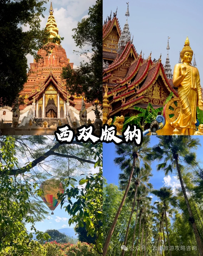 酸奶美食潮汕做法_潮汕美食酸奶_酸奶美食做法大全
