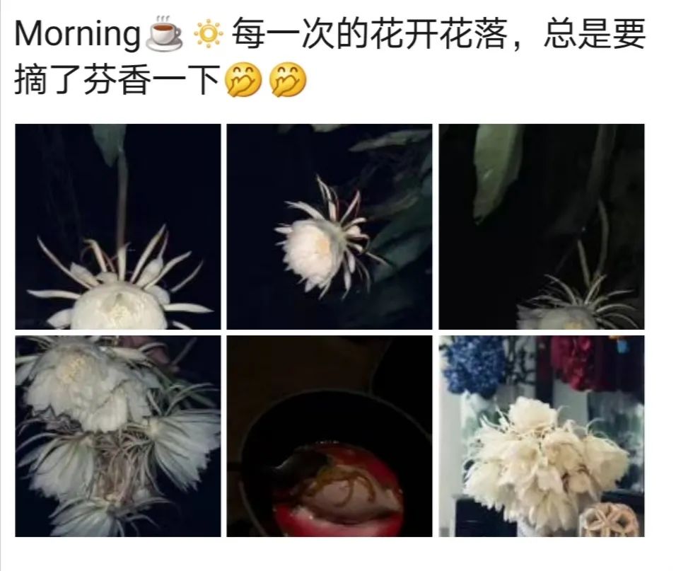 西餐来源于_西餐厨具由来_西餐源头