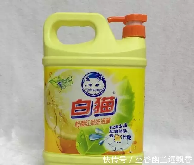 生活中的小窍门为题写一篇作文_生活当中小妙招_生活中的小窍门比如