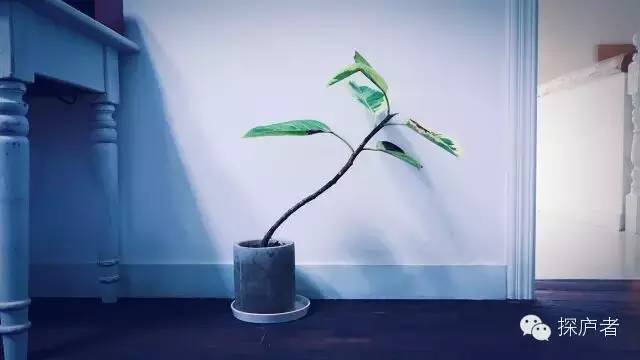 咖啡民宿露营算什么产业_咖啡民宿起名_咖啡民宿