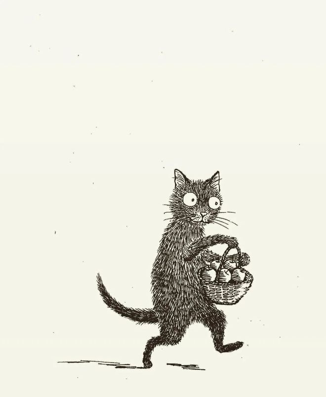 小猫生活趣事_猫的生活趣事作文_两只猫的趣味生活