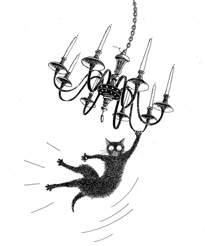 小猫生活趣事_猫的生活趣事作文_两只猫的趣味生活