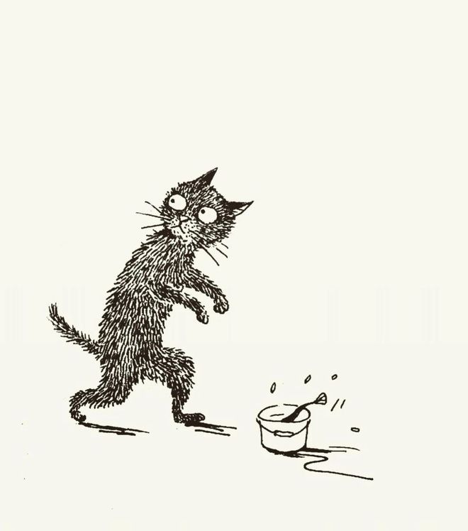 两只猫的趣味生活_猫的生活趣事作文_小猫生活趣事