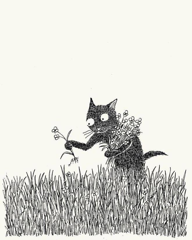 小猫生活趣事_猫的生活趣事作文_两只猫的趣味生活