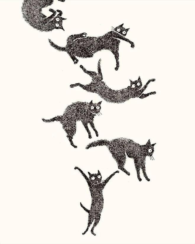 猫的生活趣事作文_小猫生活趣事_两只猫的趣味生活