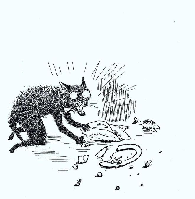 两只猫的趣味生活_猫的生活趣事作文_小猫生活趣事