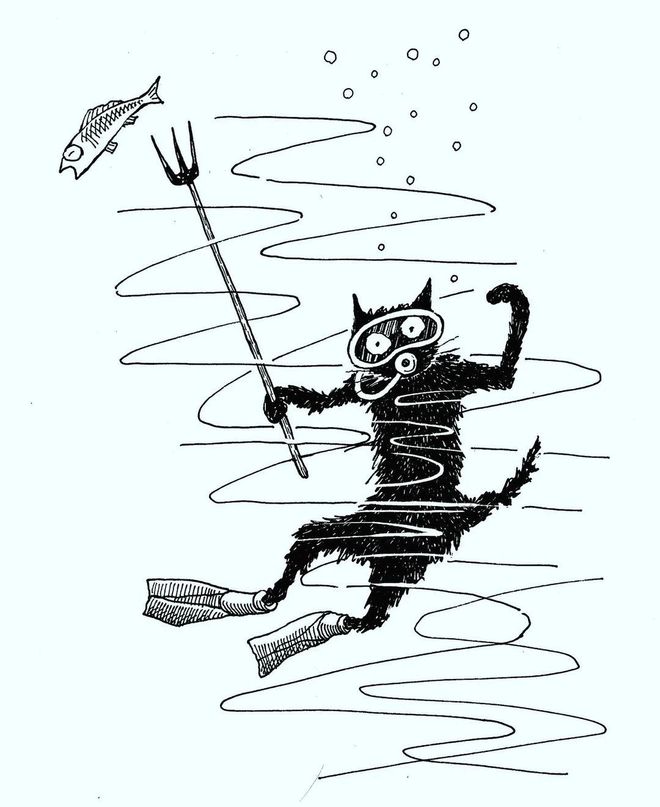 小猫生活趣事_两只猫的趣味生活_猫的生活趣事作文