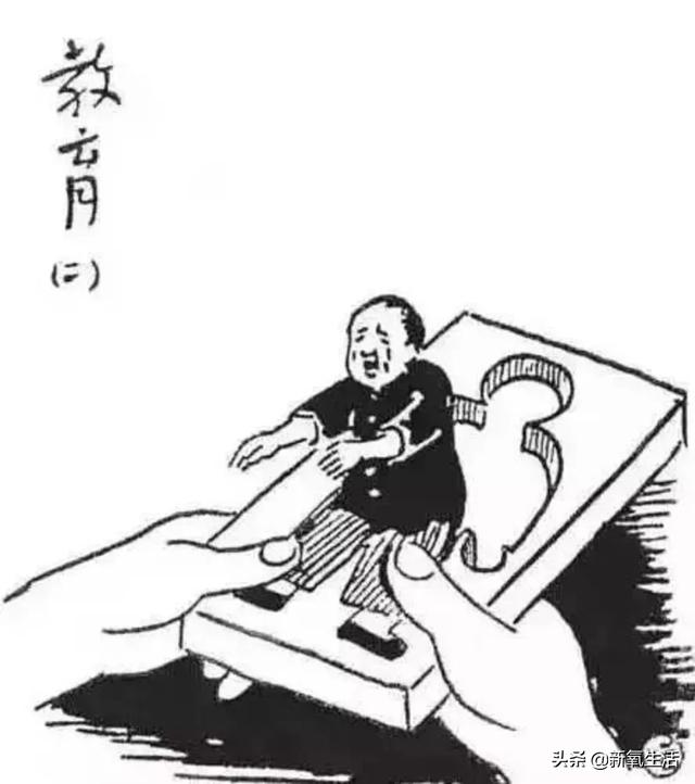 猫的生活趣事作文_趣味猫咪_两只猫的趣味生活
