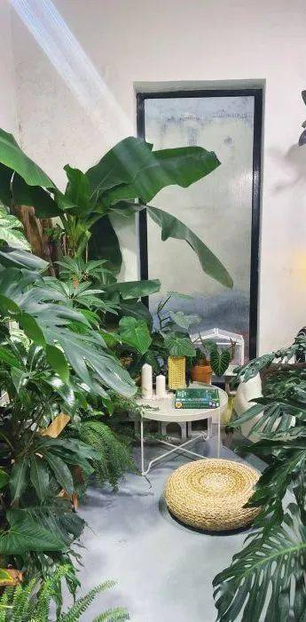 禧室咖啡_禧园咖啡_北京禧园咖啡店