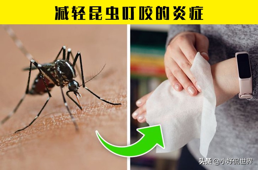 牛奶的教程_牛奶的生活小妙招_生活小技巧牛奶