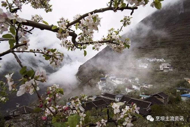 国际美食节火花_国际美食节火花_国际美食节火花