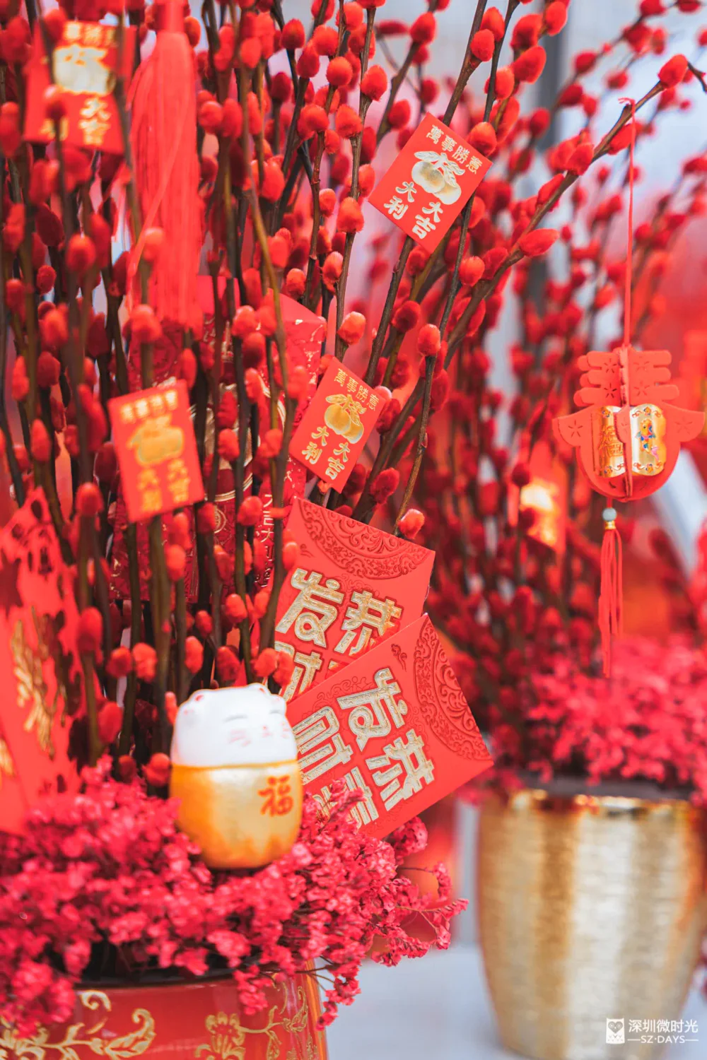 过年红包家庭日常_红包过年日常家庭怎么发_过年红包怎样合理使用