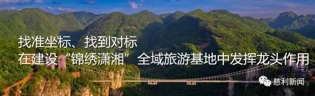 红薯种植致富故事_种红薯创业故事_红薯产业链创业计划书