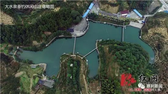 红薯种植致富故事_红薯产业链创业计划书_种红薯创业故事