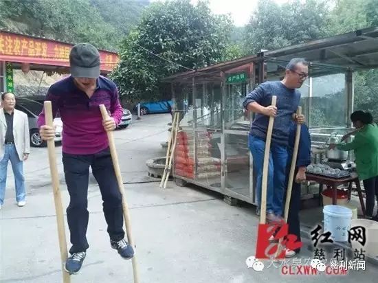 种红薯创业故事_红薯种植致富故事_红薯产业链创业计划书