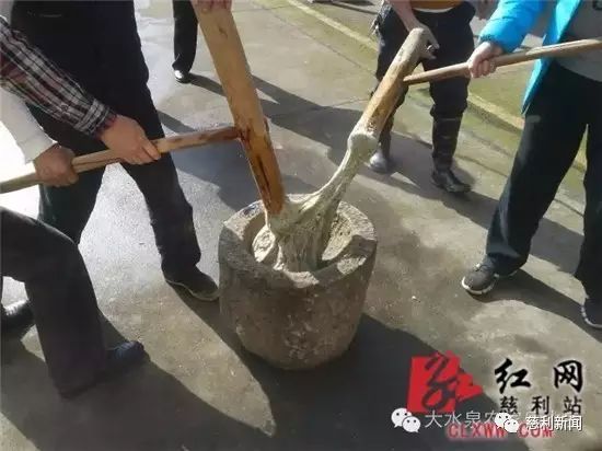 红薯种植致富故事_种红薯创业故事_红薯产业链创业计划书