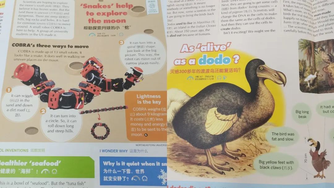 小学生生活趣味小常识_有趣的小学生生活小常识_小学生生活趣味怎么写