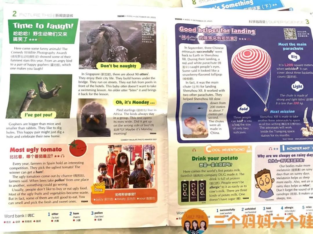 有趣的小学生生活小常识_小学生生活趣味小常识_小学生生活趣味怎么写
