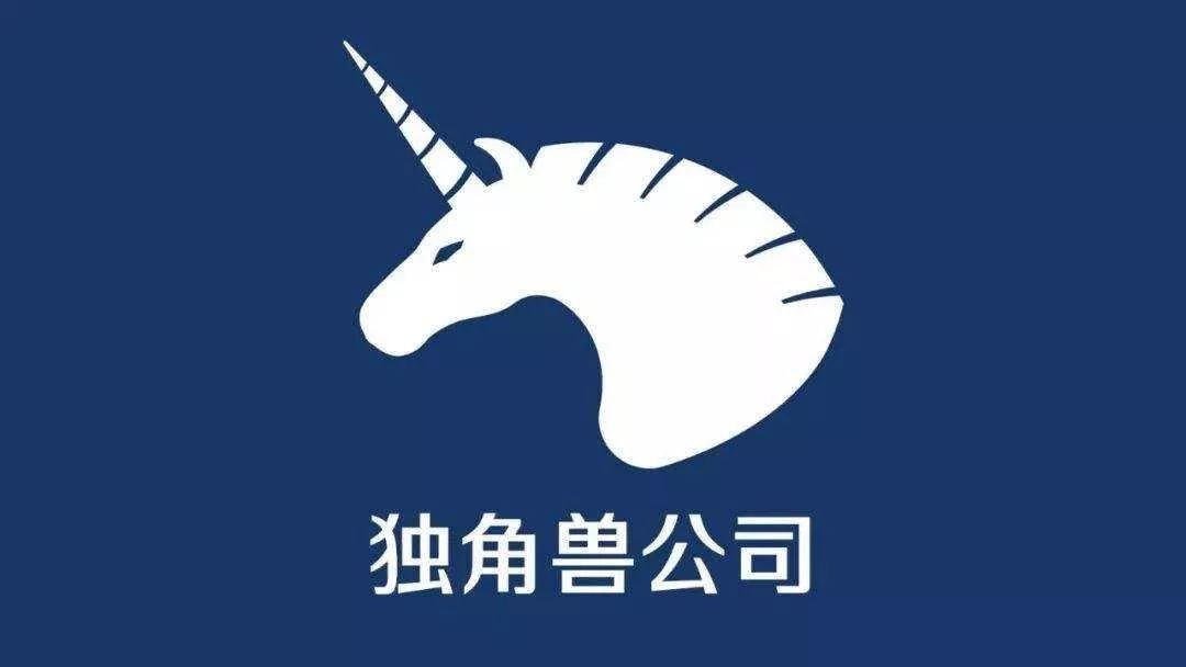 南京直播运营_南京直播平台公司_南京直播电商创业资讯公司