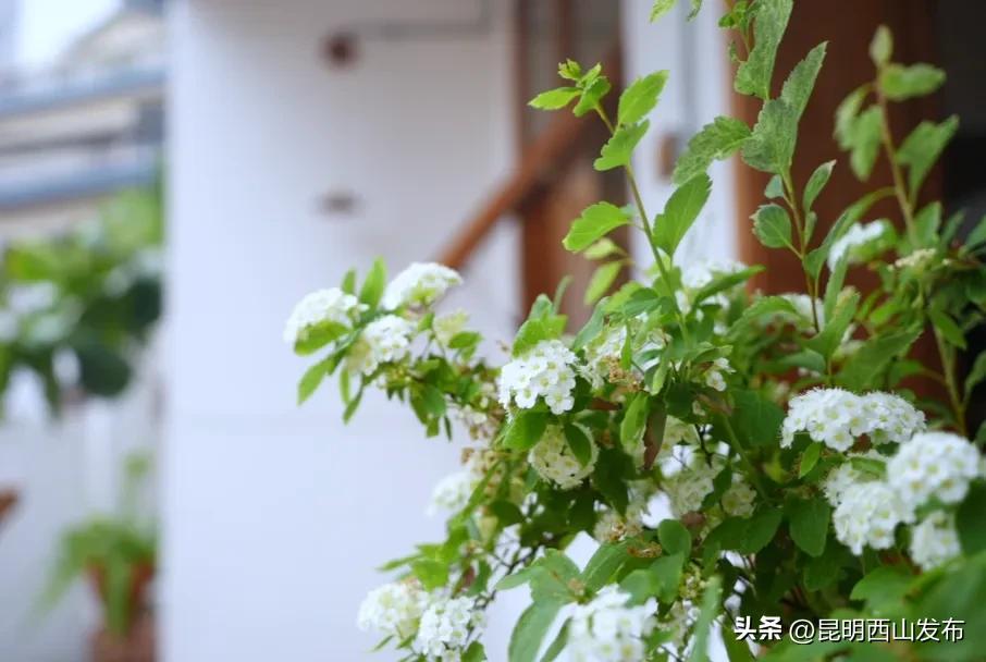 咖啡厅适合多人去吗昆明_昆明必去咖啡店_昆明的咖啡