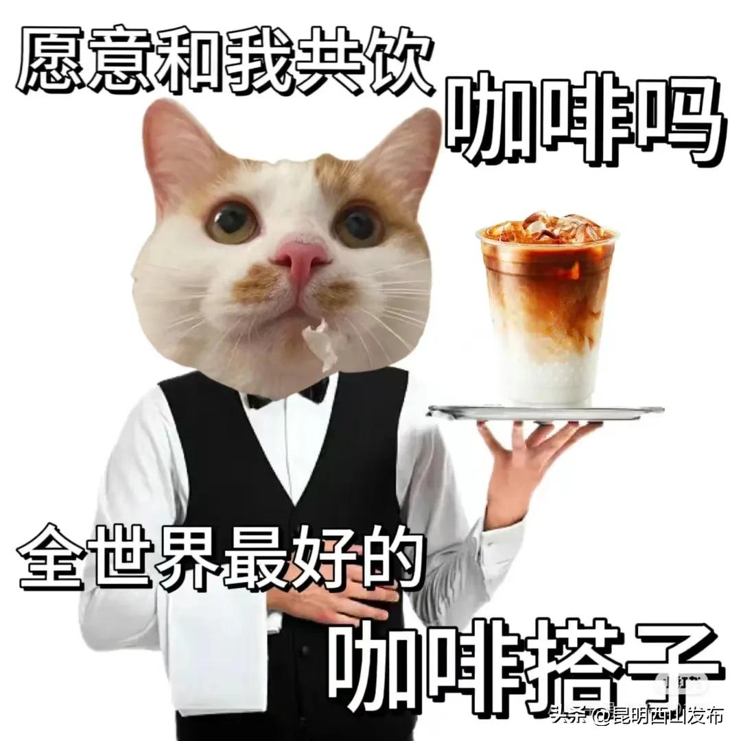 昆明必去咖啡店_咖啡厅适合多人去吗昆明_昆明的咖啡