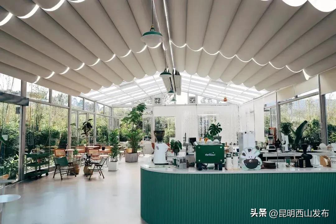 咖啡厅适合多人去吗昆明_昆明的咖啡_昆明必去咖啡店