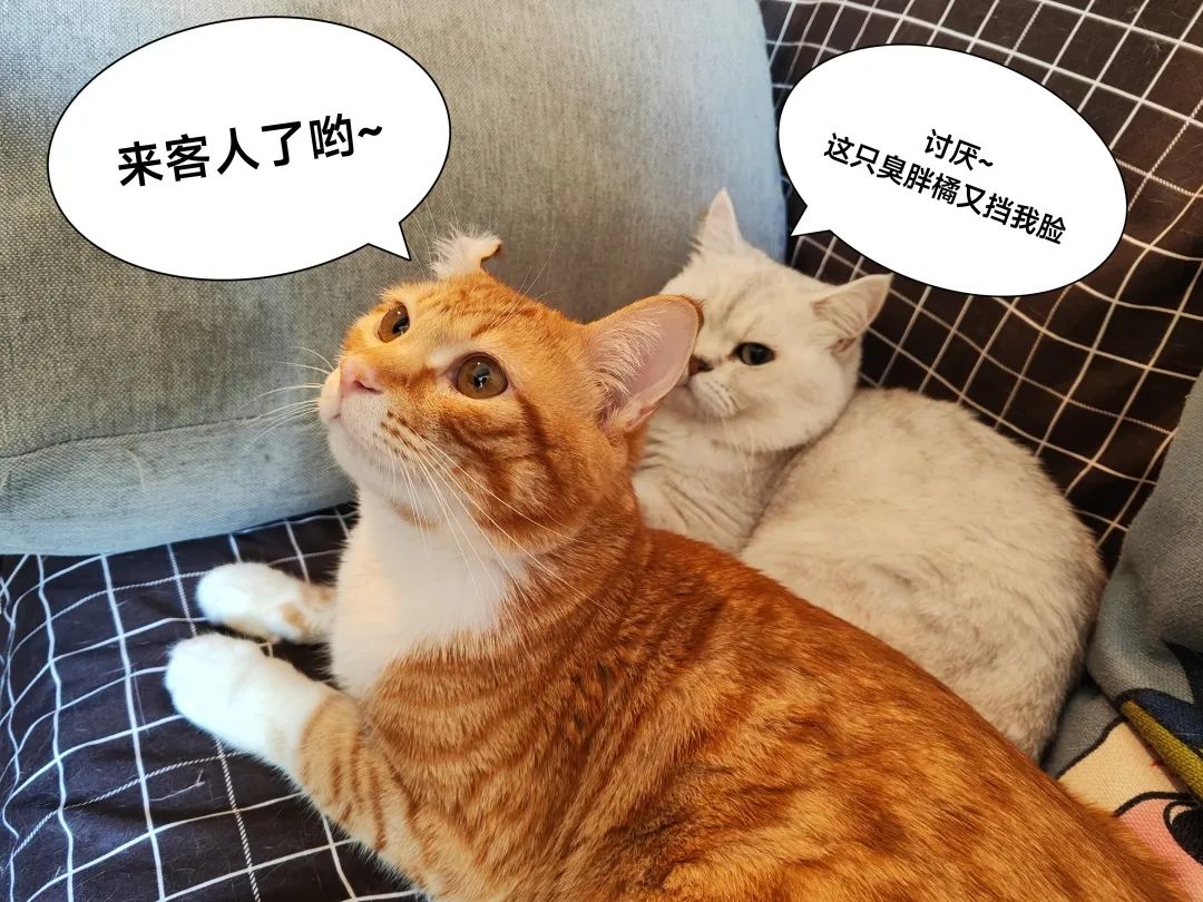 昆明必去咖啡店_昆明环境优雅的咖啡厅_咖啡厅适合多人去吗昆明