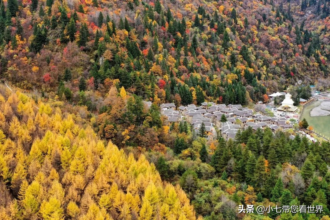 荒野咖啡厅_荒野咖啡馆在线观看_荒野咖啡馆多久上映
