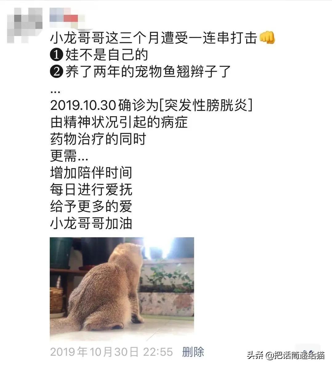 唐氏儿家庭的日常_唐氏儿日常生活表现_唐氏儿家族史