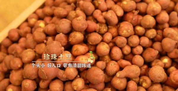 土豆西餐做法大全_土豆西餐大全做法图片_土豆西餐