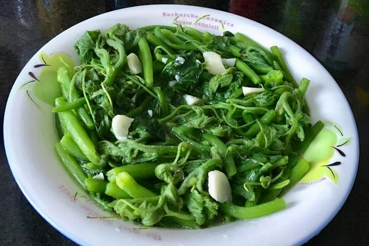 美食简单好做_简单易做的美食_简易美食做法大全在家也能做