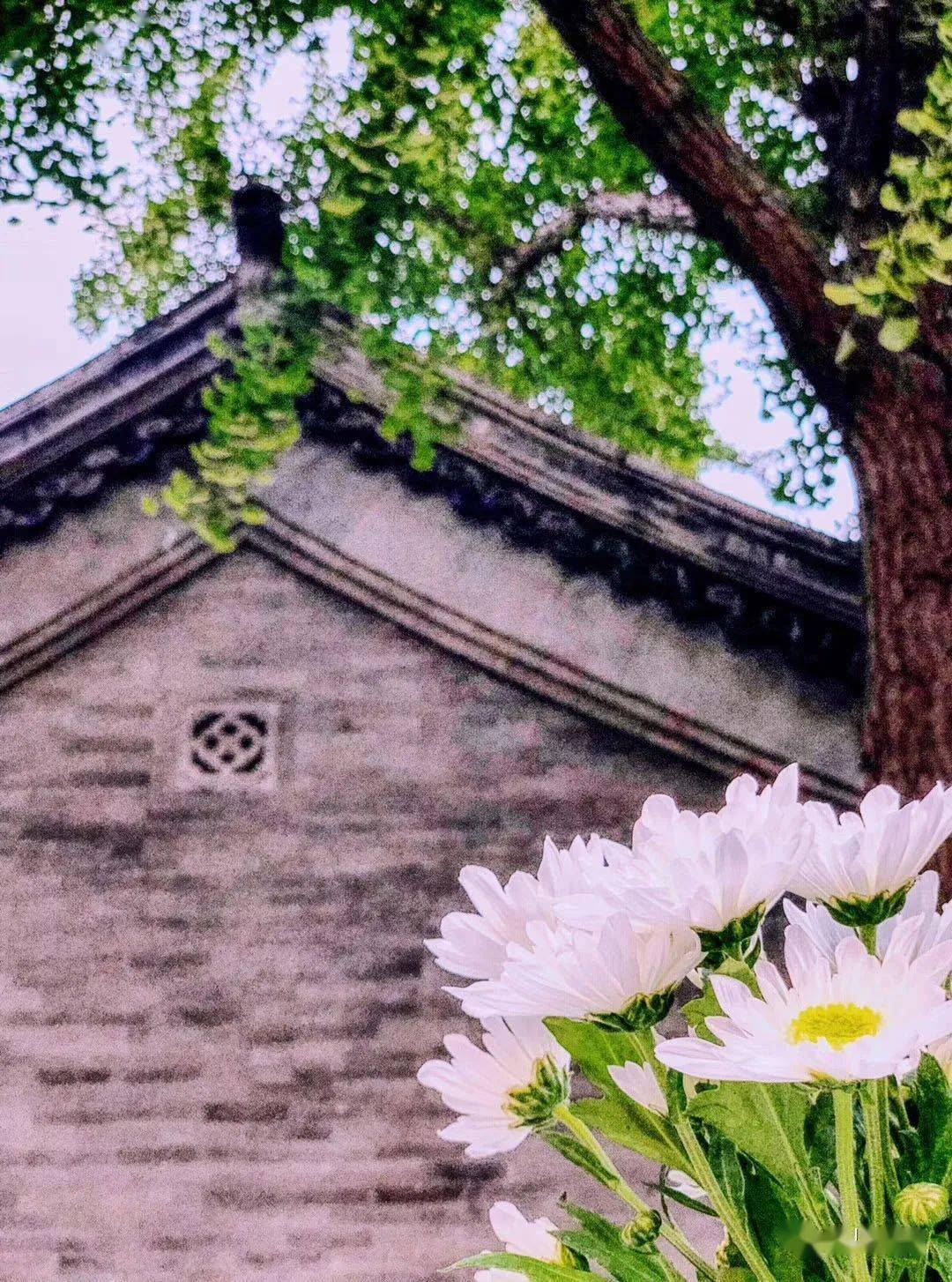 咖啡厅能喝进去儿童吗_咖啡厅儿童能进去喝咖啡吗_咖啡厅未成年可以进吗