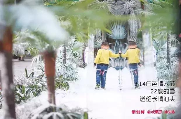 潮汕美食地位_潮汕地区的美食_潮汕地区美食旅行攻略