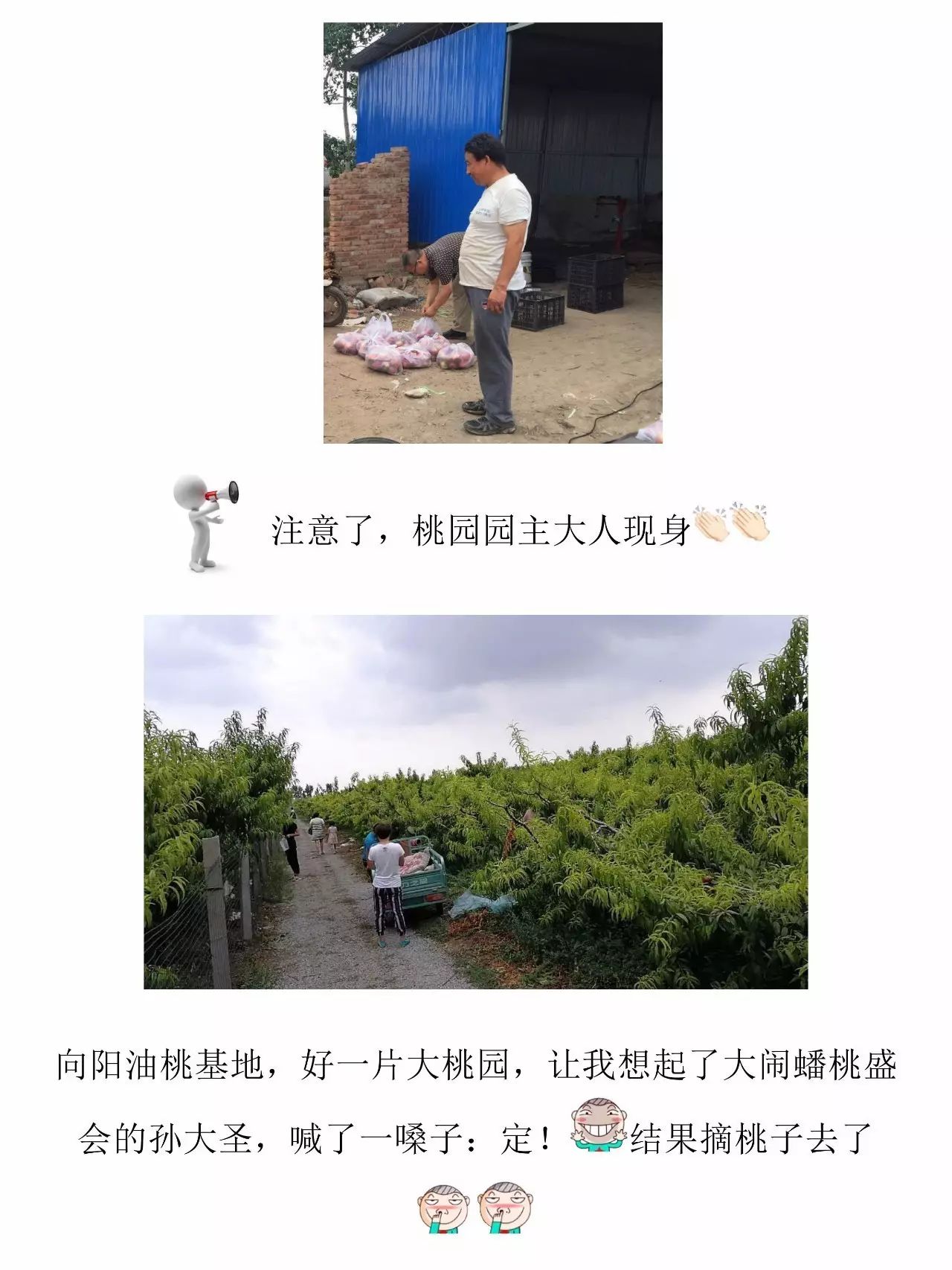 资讯直播在线创业平台_资讯类直播内容都有哪些_创业在线直播资讯