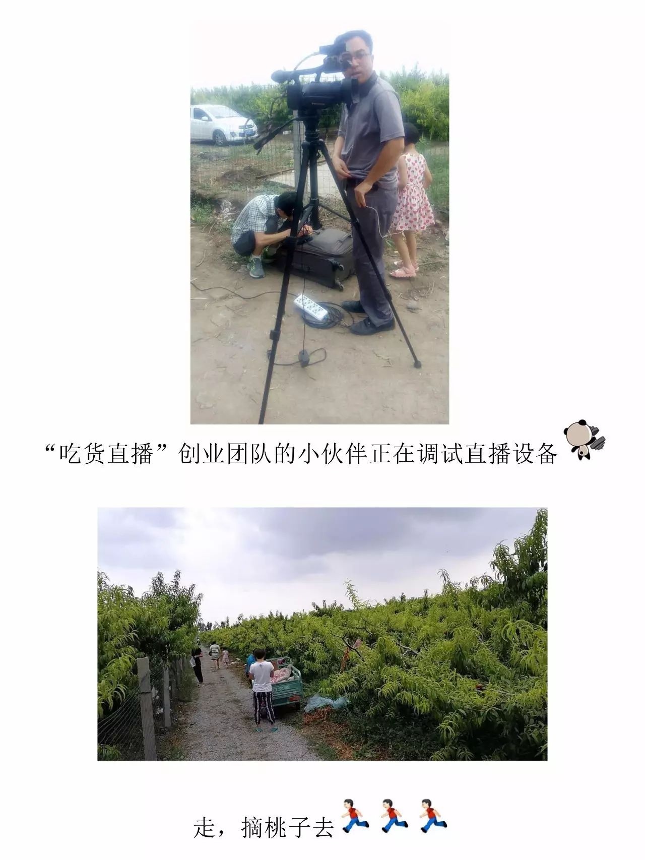 资讯直播在线创业平台_资讯类直播内容都有哪些_创业在线直播资讯