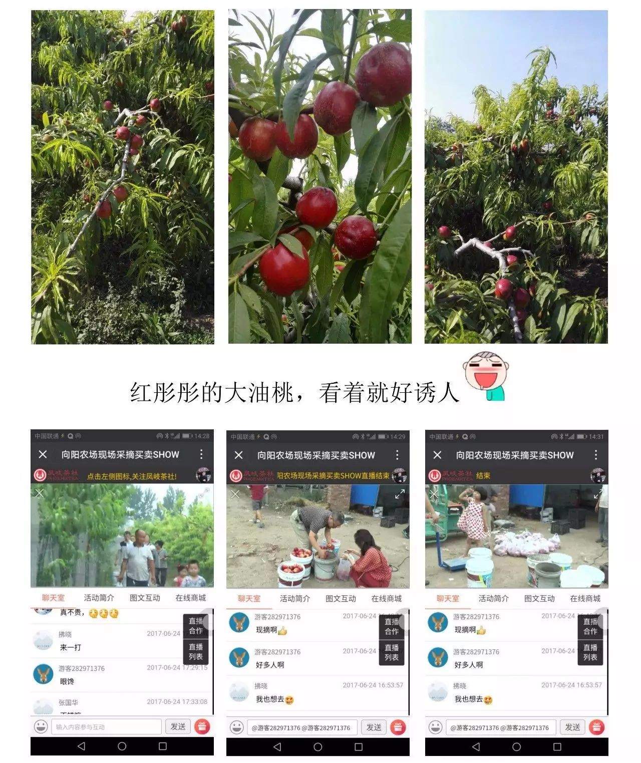 资讯直播在线创业平台_资讯类直播内容都有哪些_创业在线直播资讯