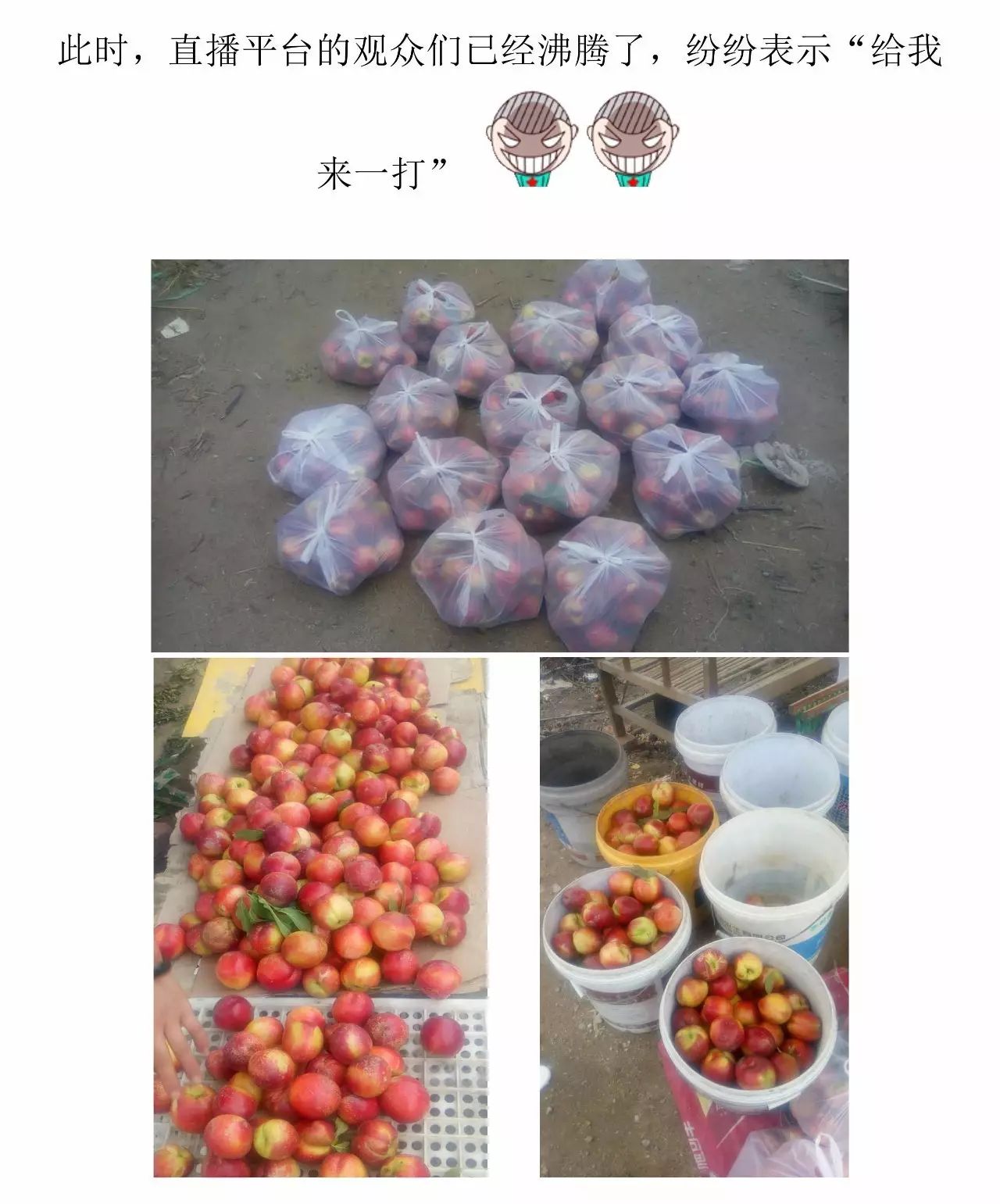 创业在线直播资讯_资讯类直播内容都有哪些_资讯直播在线创业平台