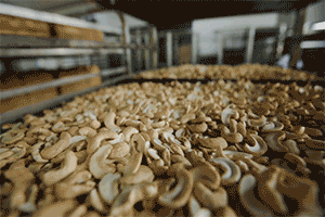 上海奉贤区特色食品_奉贤健康糕点品质好_上海市奉贤南桥有蛋糕店