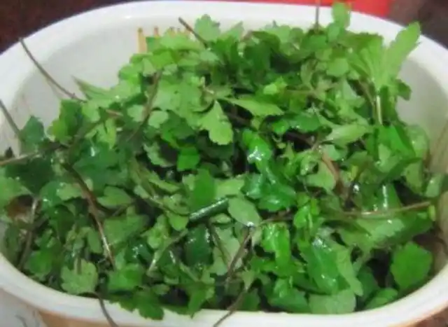潮汕美食知乎_南方潮汕美食_潮汕人美食