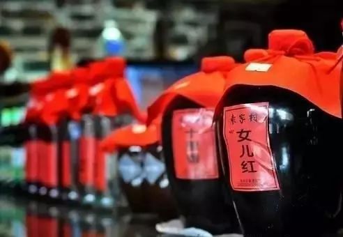 原始雨林求生小说_雨林的原始生活方式在哪_原始森林的雨