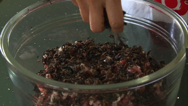 美食国际学校_美食国际博览会在哪里_国际美食CCTV