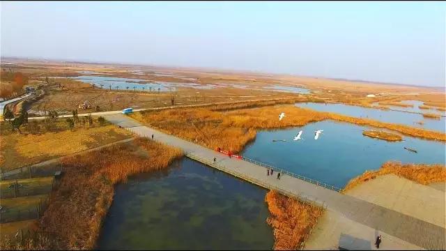 美食国际学校_美食国际博览会在哪里_国际美食CCTV