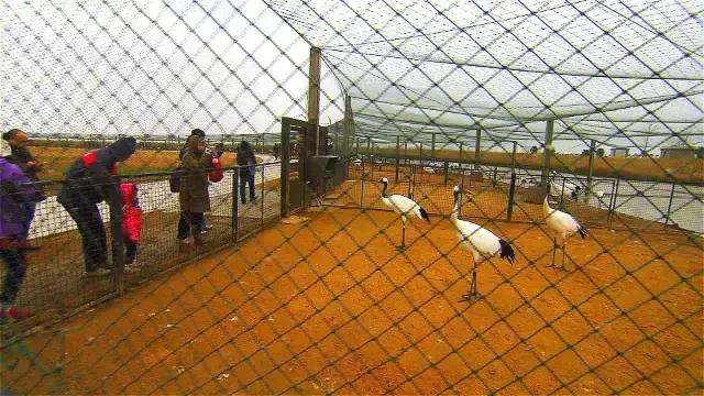 美食国际学校_国际美食CCTV_美食国际博览会在哪里