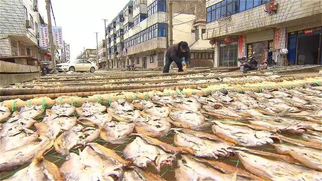 美食国际学校_美食国际博览会在哪里_国际美食CCTV