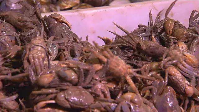 国际美食CCTV_美食国际博览会在哪里_美食国际学校