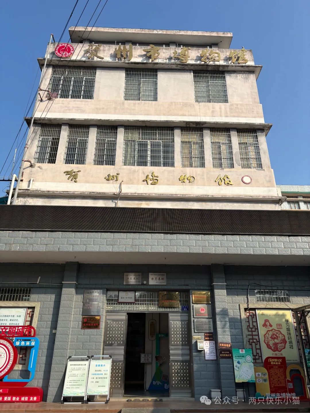 广西萝卜糕点_广东点心萝卜糕_广式点心萝卜糕做法